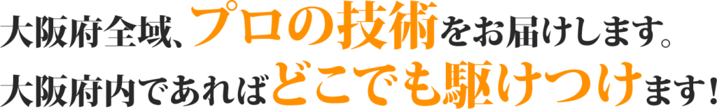 駆けつけ